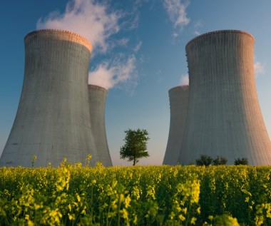 Kiedy powstanie elektrownia jądrowa w Polsce? Wkrótce ważna decyzja