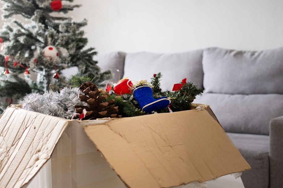 Kiedy rozebrać choinkę po świętach? Znamy odpowiedź! Tradycja kontra praktyka w polskich domach /Shutterstock