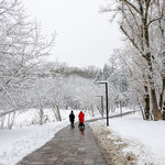 Kiedy spadnie pierwszy śnieg w Polsce? Synoptycy podali termin 
