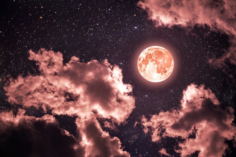 Kiedy Truskawkowa pełnia Księżyca? Oto co czeka nas na początku czerwca /123RF/PICSEL