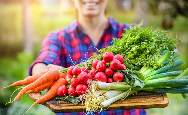 Kiedy w sklepach pojawią się polskie nowalijki? Koszt ich produkcji wzrósł dwukrotnie