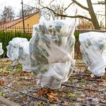 ​Kiedy zaczną się przymrozki w Polsce? W tym roku mają przyjść znacznie wcześniej