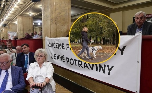 "Kiedy załatwisz, żeby zastrzelili jej tego psa?". Skandal z udziałem posłanki w Czechach