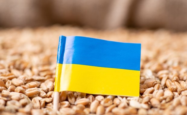 Kiedy zatwierdzenie umowy o bezcłowym handlu z Ukrainą? Znamy daty 