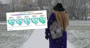 Kiedy zrobi się ciepło? Prognoza na marzec nie pozostawia złudzeń