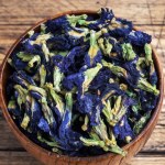 Kiedyś był tylko ozdobą. Dziś niebieski kwiat ratuje rolnictwo