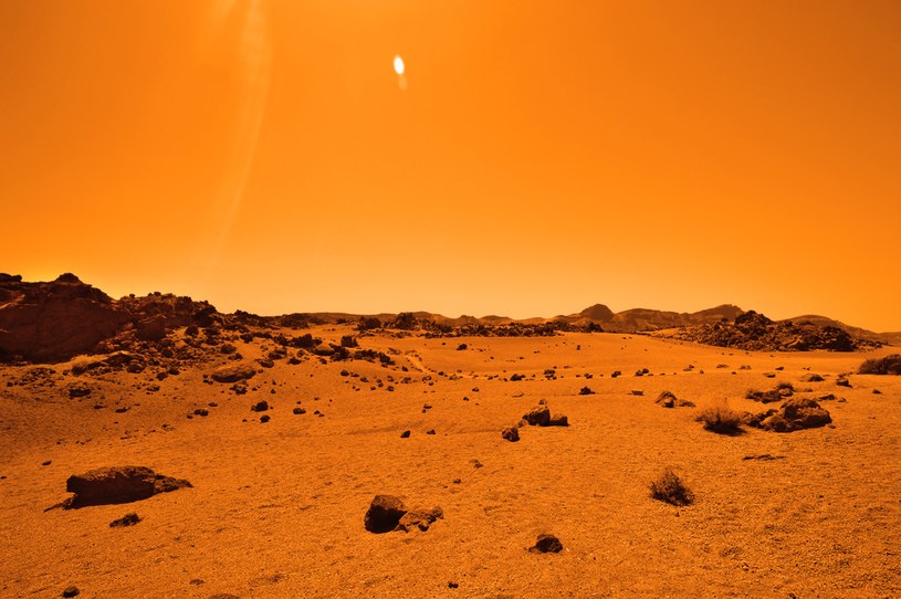 Kiedyś na powierzchni Marsa występowała woda w stanie ciekłym /123RF/PICSEL