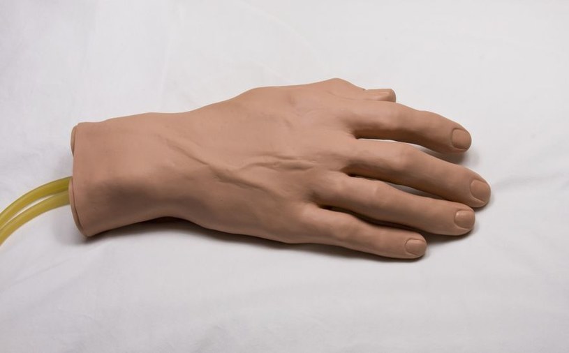 Kiedyś protezy rąk będą lepsze od prawdziwych narządów /123RF/PICSEL