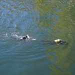 Kieleckie. Śmierć w samochodzie, który wpadł do zbiornika wodnego