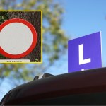 Kierował kursantów na zakaz ruchu i "oblewał". Jest decyzja NSA