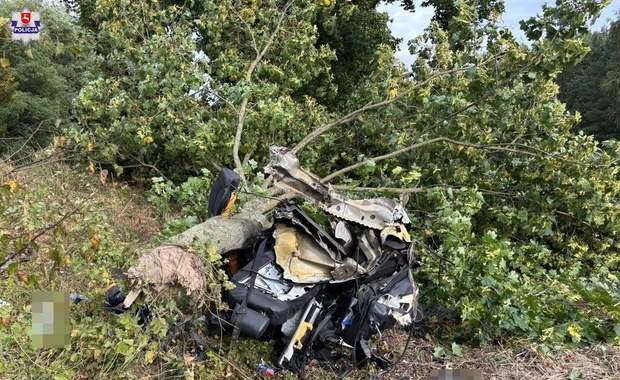 Kierowca audi z impetem uderzył w drzewo. Auto rozerwane na pół