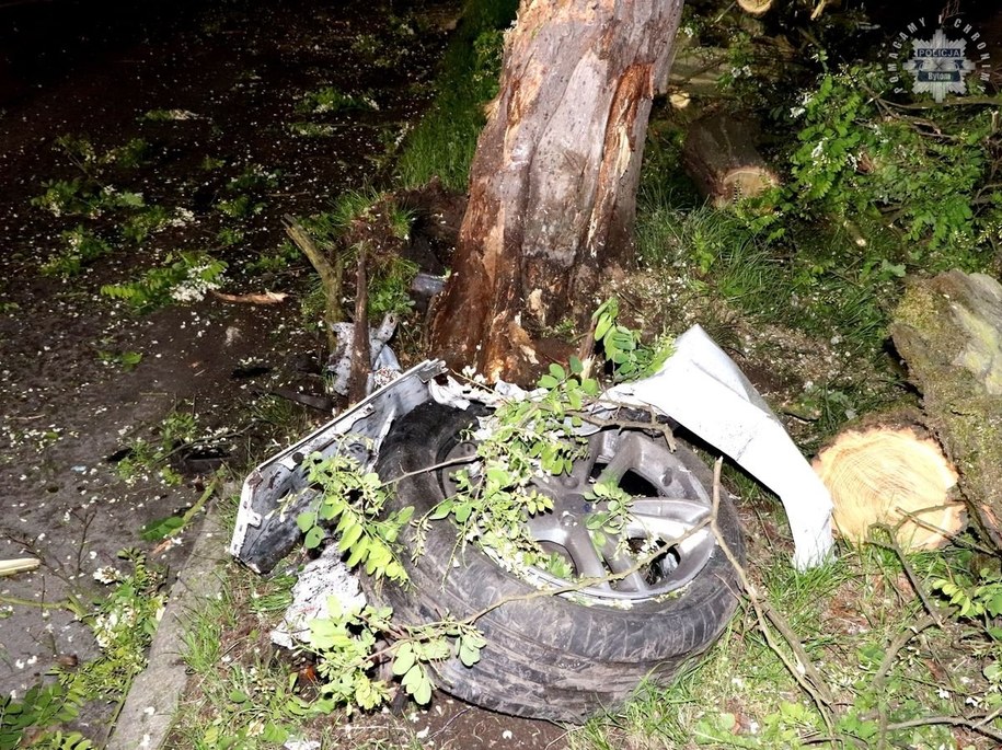 Kierowca forda roztrzaskał samochód uderzając w drzewo /Policja