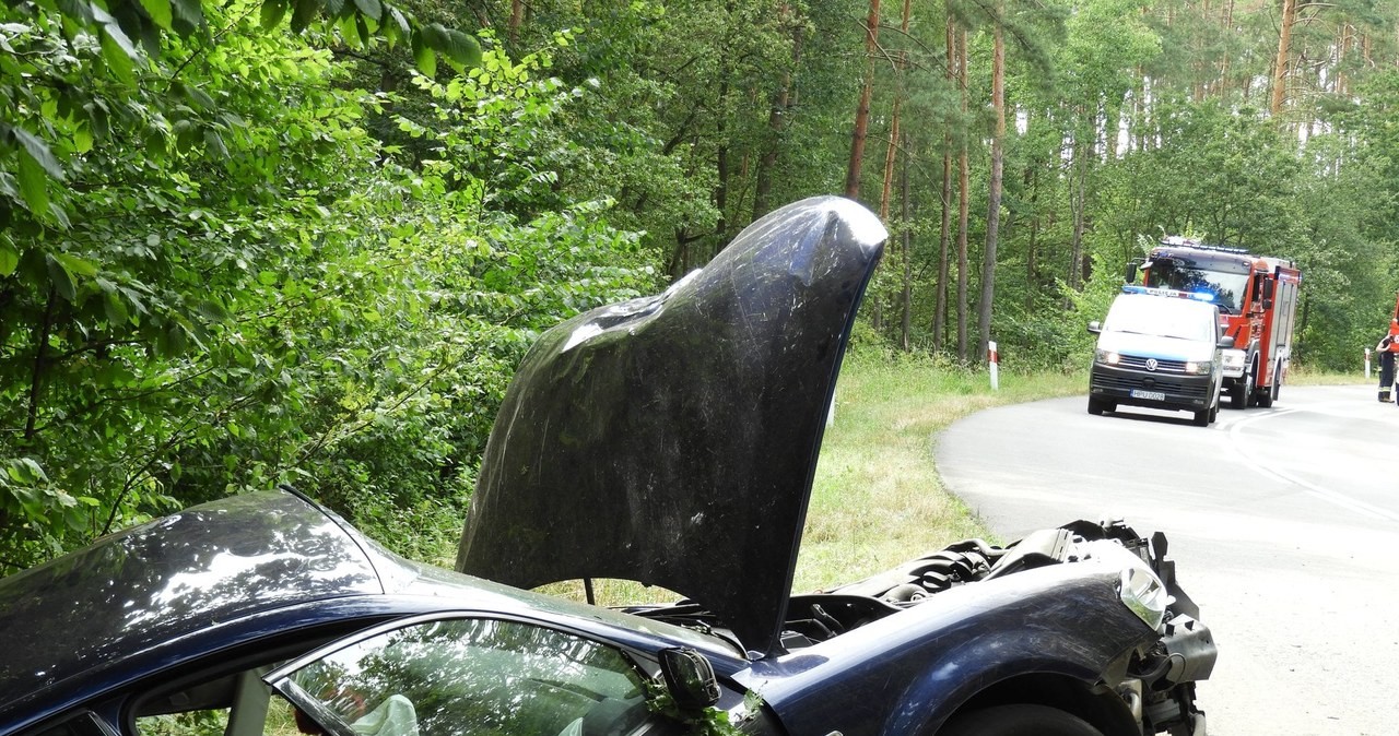 Kierowca miał 3,7 promila. Zabił siebie i  pasażerkę /Policja