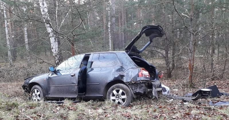 Kierowca miał szczęście, że w drzewa uderzył prawą stroną samochodu /Policja