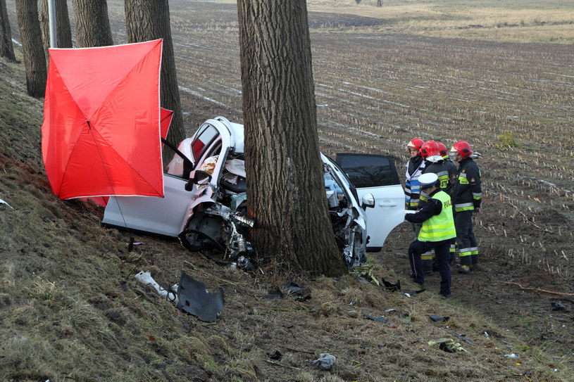 Kierowca najprawdopodobniej usnął, w wypadku zginęły cztery osoby / 	Marcin Bielecki    /PAP