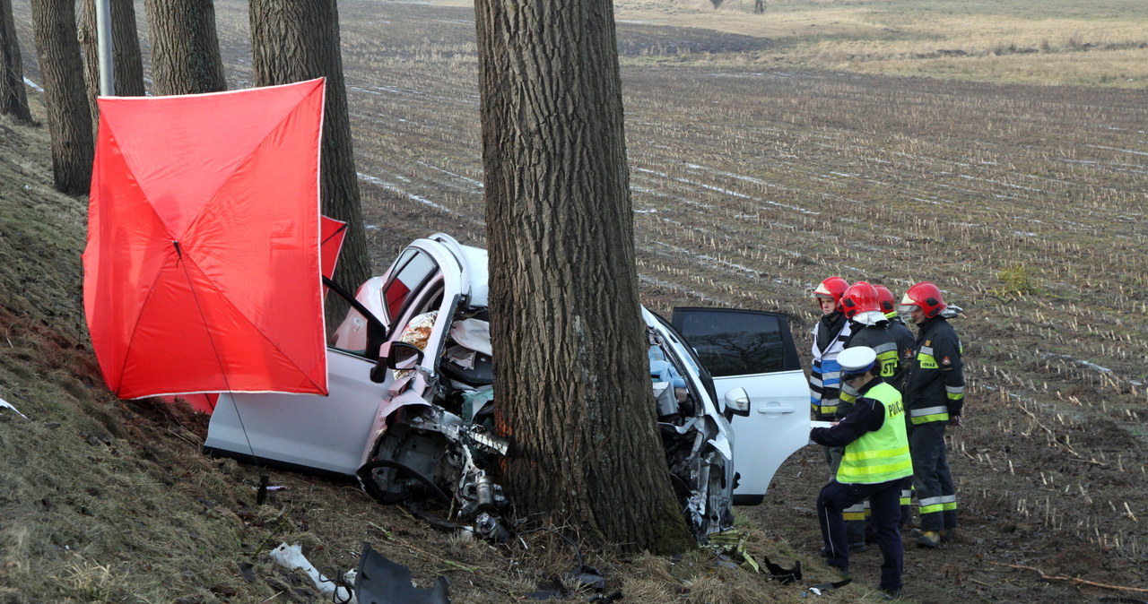 Kierowca najprawdopodobniej usnął, w wypadku zginęły cztery osoby / 	Marcin Bielecki    /PAP