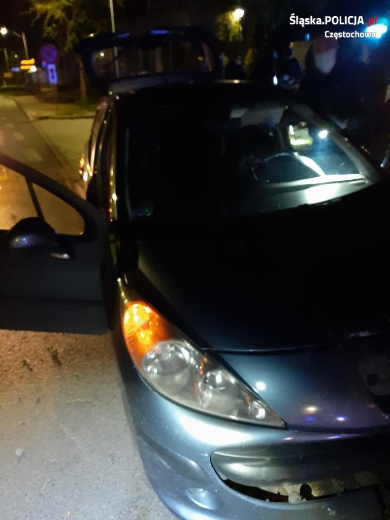 Kierowca nie reagował na wezwania policjantów /Śląska policja /