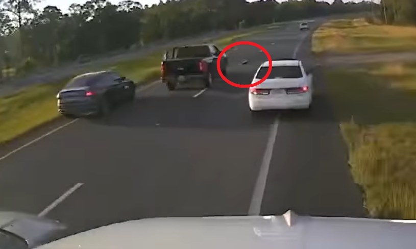 Kierowca pick-upa zatrzymał się na środku autostrady, by... przepuścić żółwia. /Walton County Sheriff's Office, Florida/ Facebook/ zrzut ekranu /