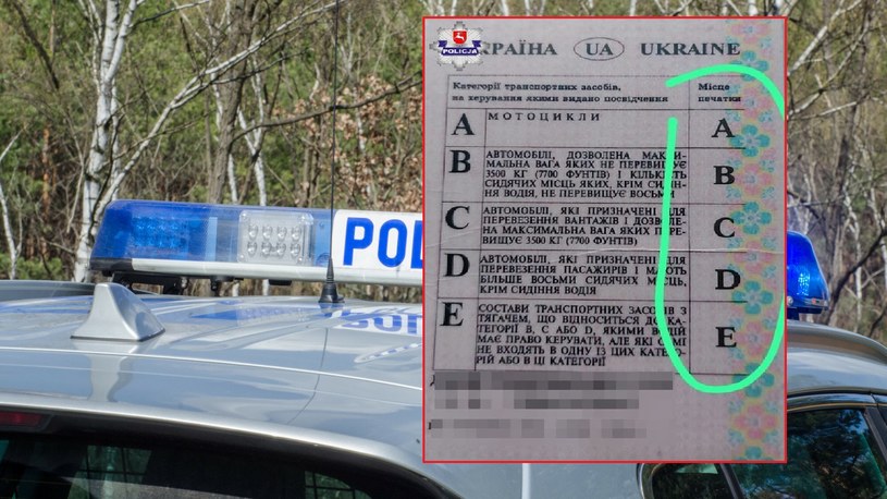 Kierowca posługiwał się podrobionym prawem jazdy. /Policja Lubelska/NewsLubuski /East News