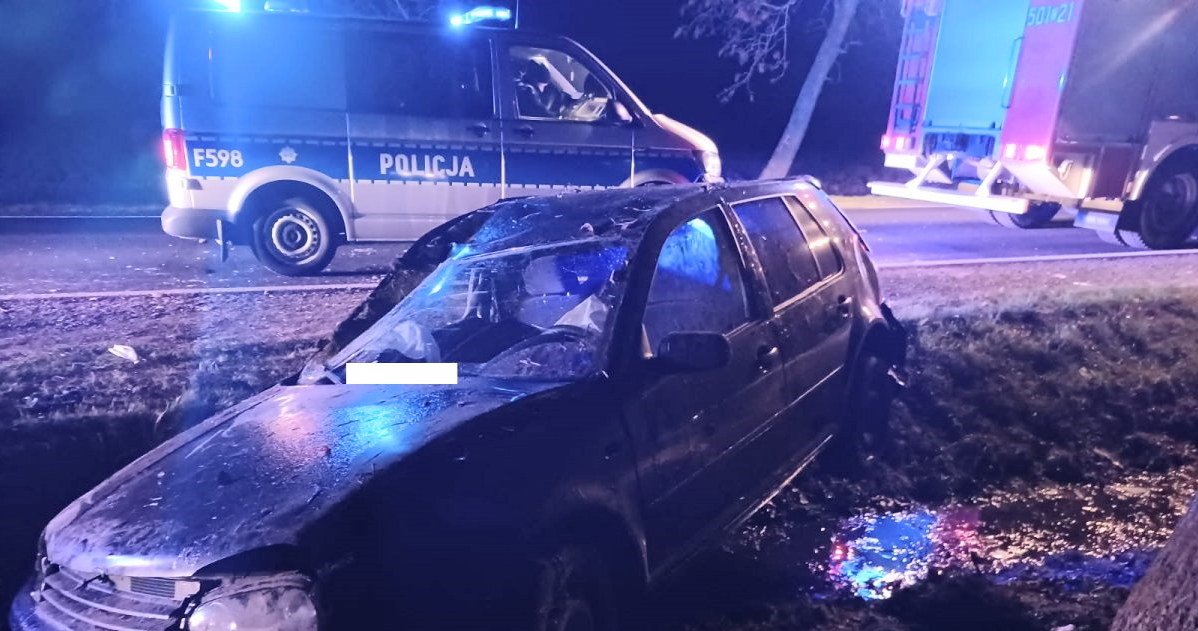 Kierowca pożegna się również z prawem jazdy /Policja