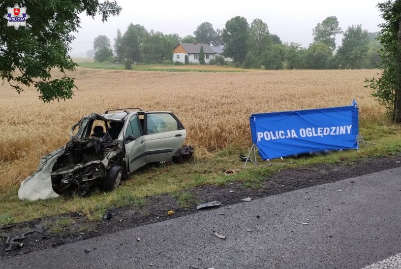 Kierowca Renault zginął na miejscu /Informacja prasowa