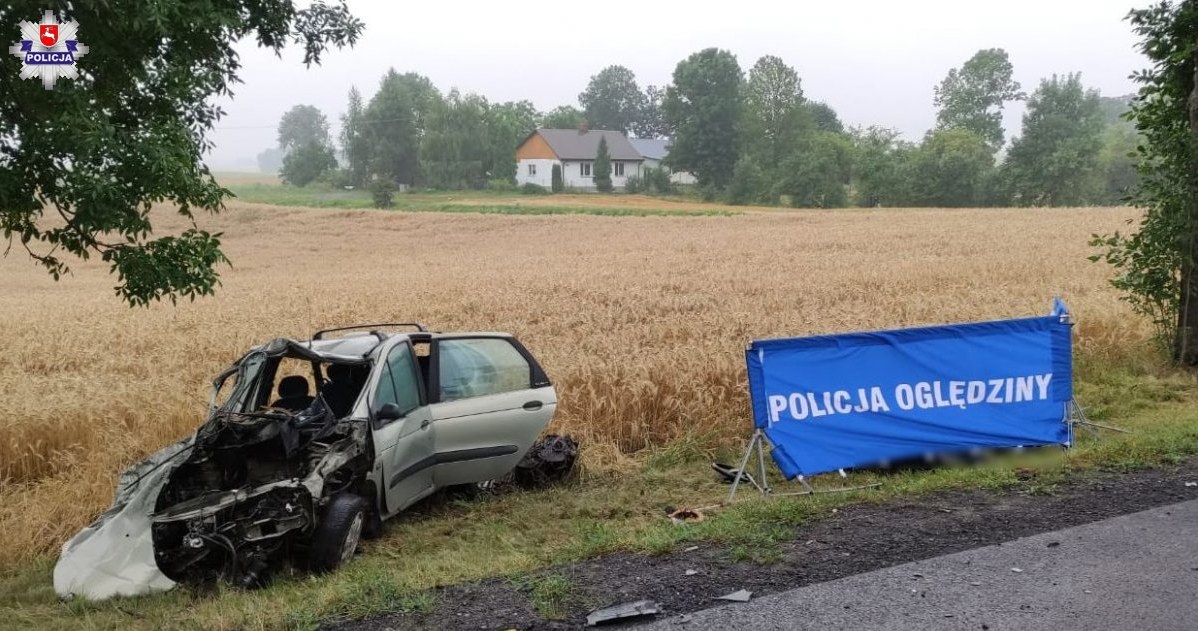 Kierowca Renault zginął na miejscu /Informacja prasowa