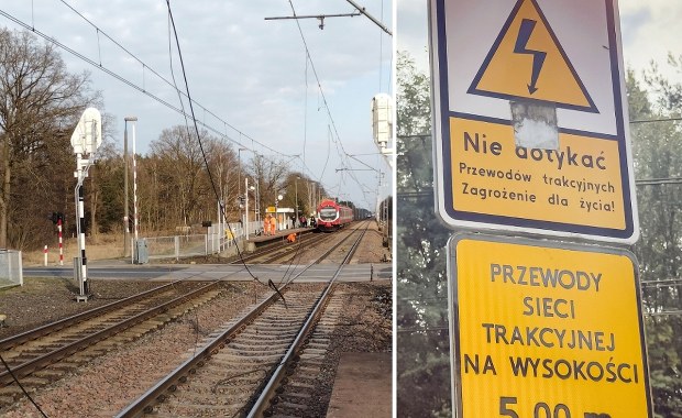 Kierowca sparaliżował trasę Poznań-Kunowice i uciekł. Pasażerowie wściekli