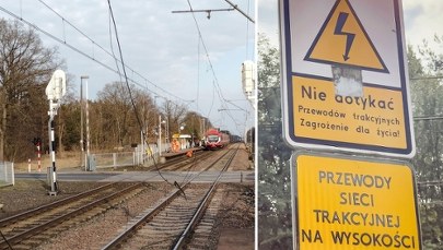 Kierowca sparaliżował trasę Poznań-Kunowice i uciekł. Pasażerowie wściekli