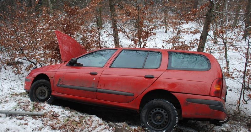 Kierowca stracił panowanie nad autem i zjechał do rowu /Policja