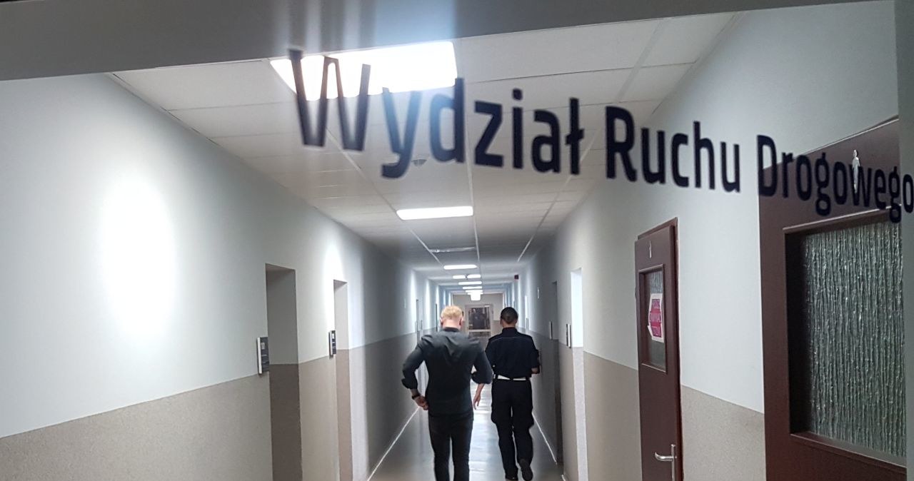 Kierowca stracił prawo jazdy /Policja