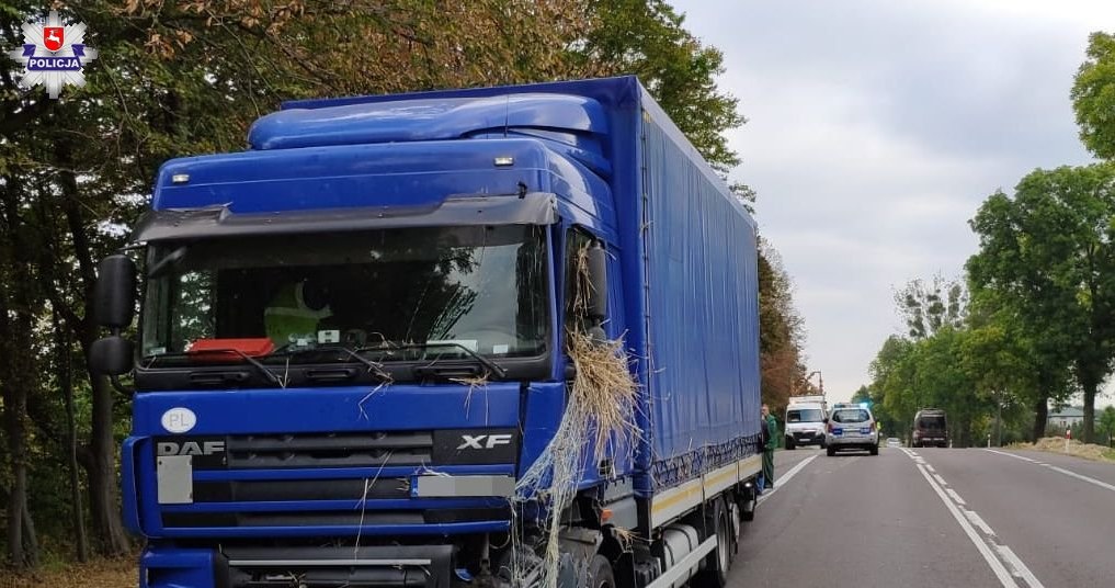 Kierowca tej ciężarówki trafił do szpitala /Informacja prasowa