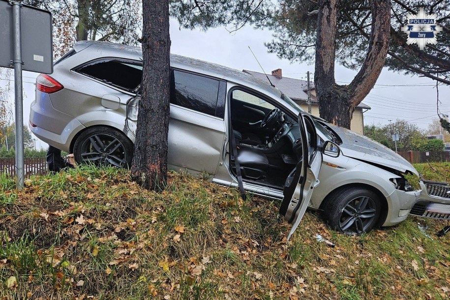 Kierowca uderzył w drzewo /Policja Śląska /