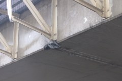 Kierowca uderzył w wiadukt i... odjechał