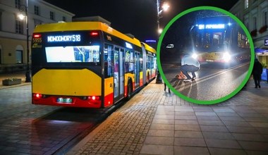 Kierowca warszawskiego autobusu uratował jeża. "Tak się powinno jeździć"