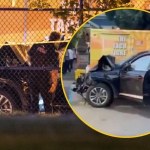 Kierowca wjechał w tłum. Zginęło 11 osób, jest wielu rannych