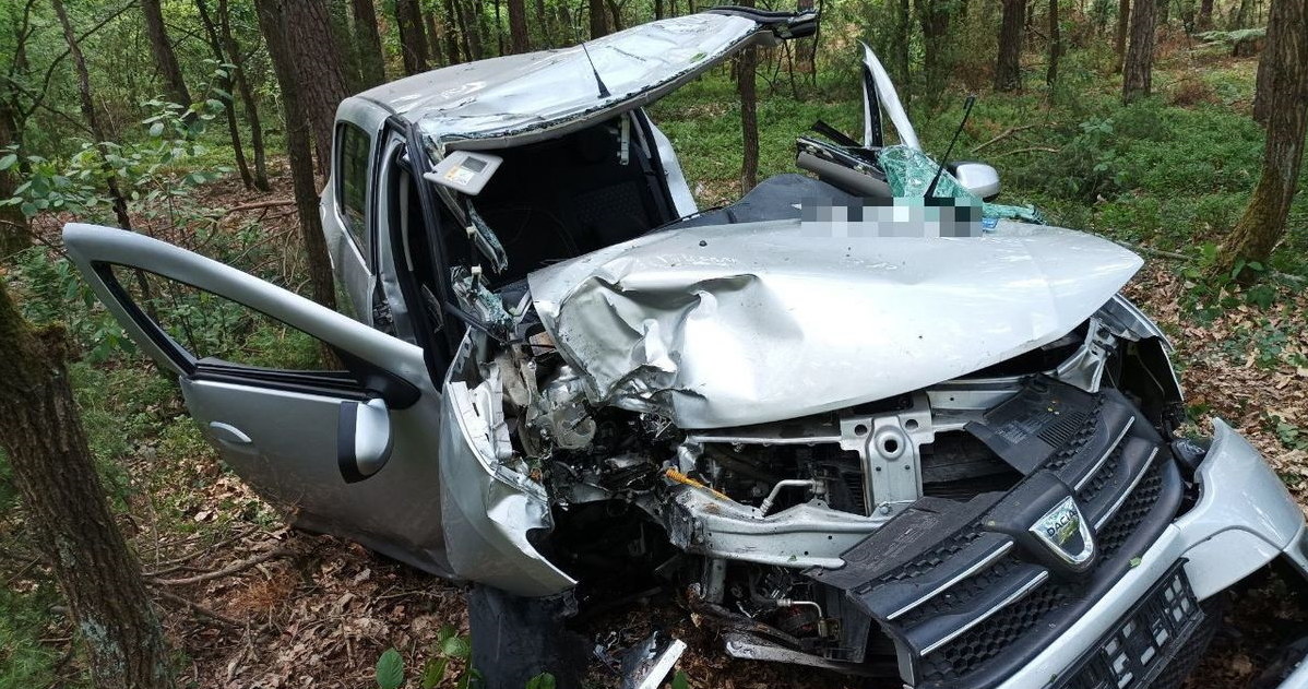 Kierowcę tej Dacii po zderzeniu z łosiem z wraku musieli wycinać strażacy. Poważnie ranny trafił do szpitala /Policja