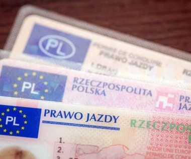 Kierowco, korzystasz z nowych uprawnień? Weszły 1 stycznia