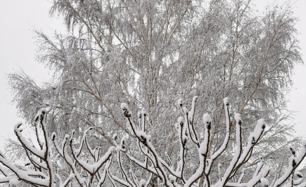 Kierowco, zmień styl jazdy na zimowy! 