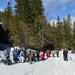 bus Kierowcy busów do Morskiego Oka poskarżyli się na turystów. "Doświadczyli hejtu"