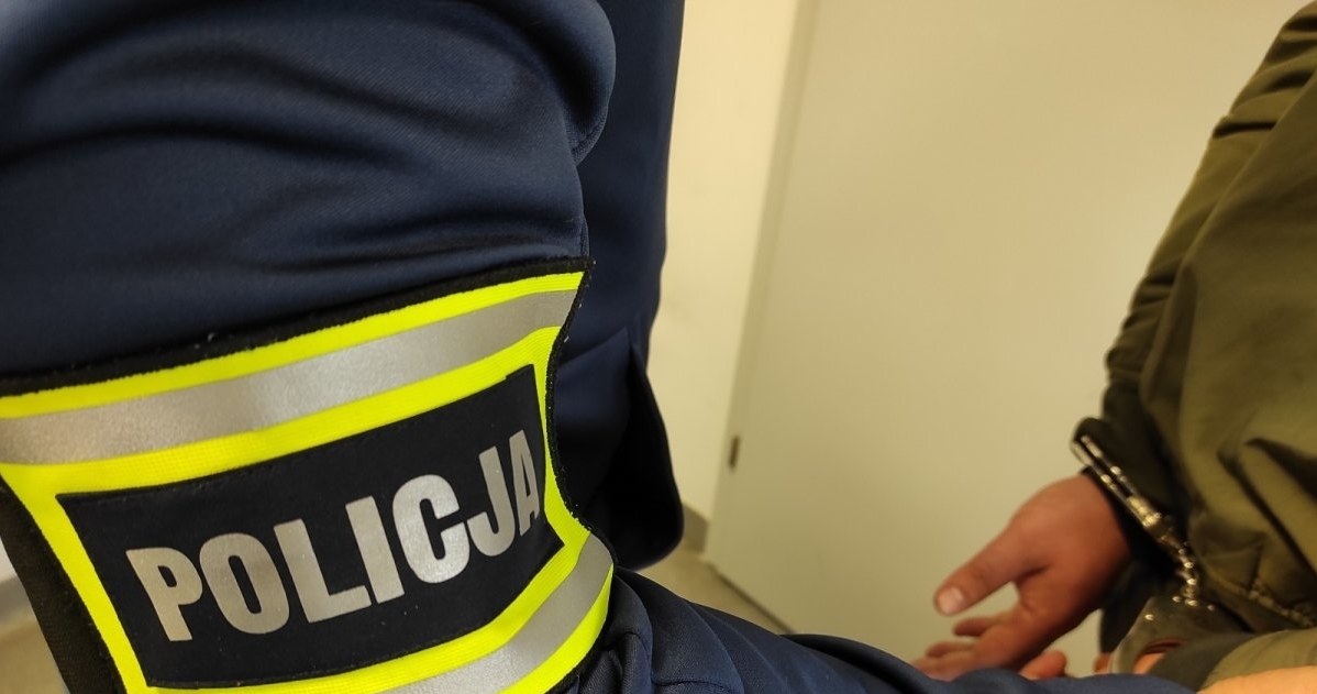 Kierowcy grozi pięć lat więzienia. /Policja