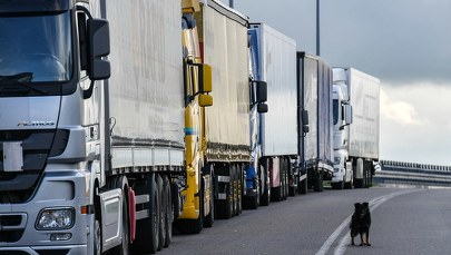 Kierowcy tirów muszą czekać 31 godzin na wjazd z Polski na Białoruś