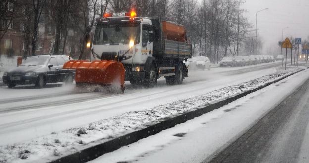 Kierowcy walczyli ze śniegiem, więc jeździli wolniej /PAP