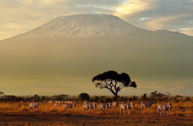 Kilimandżaro to najwyższy szczyt w Afryce /AFP