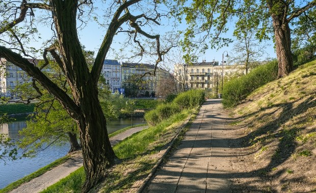 Kilka śniętych ryb we wrocławskiej miejskiej fosie