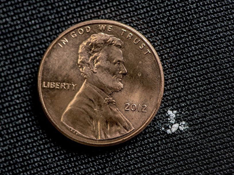 Kilka ziarenek (2 mg) fentanylu to dawka śmiertelna dla człowieka /US Drug Enforcement Administration /Wikimedia