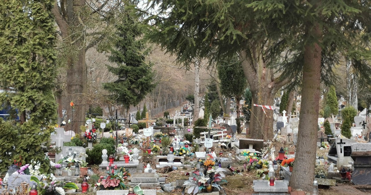 Kilkadziesiąt dziecięcych nagrobków zdewastowanych na cmentarzu w Olsztynie