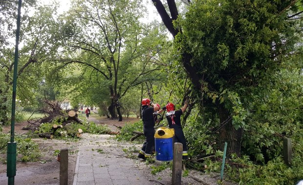 Kilkadziesiąt interwencji po burzy w Warszawie. "Mnóstwo poniszczonych samochodów"