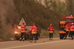 Kilkadziesiąt ofiar pożarów lasów w Portugalii