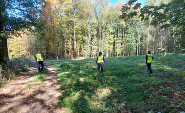Kilkadziesiąt osób szukało chorej seniorki. Noc spędziła w lesie    