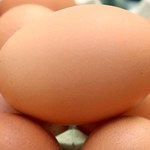 Kilkadziesiąt tysięcy jaj skażonych fipronilem wycofano ze sprzedaży